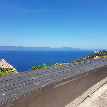 Studio climatisé île naturiste du Levant Hyères Extérieur photo